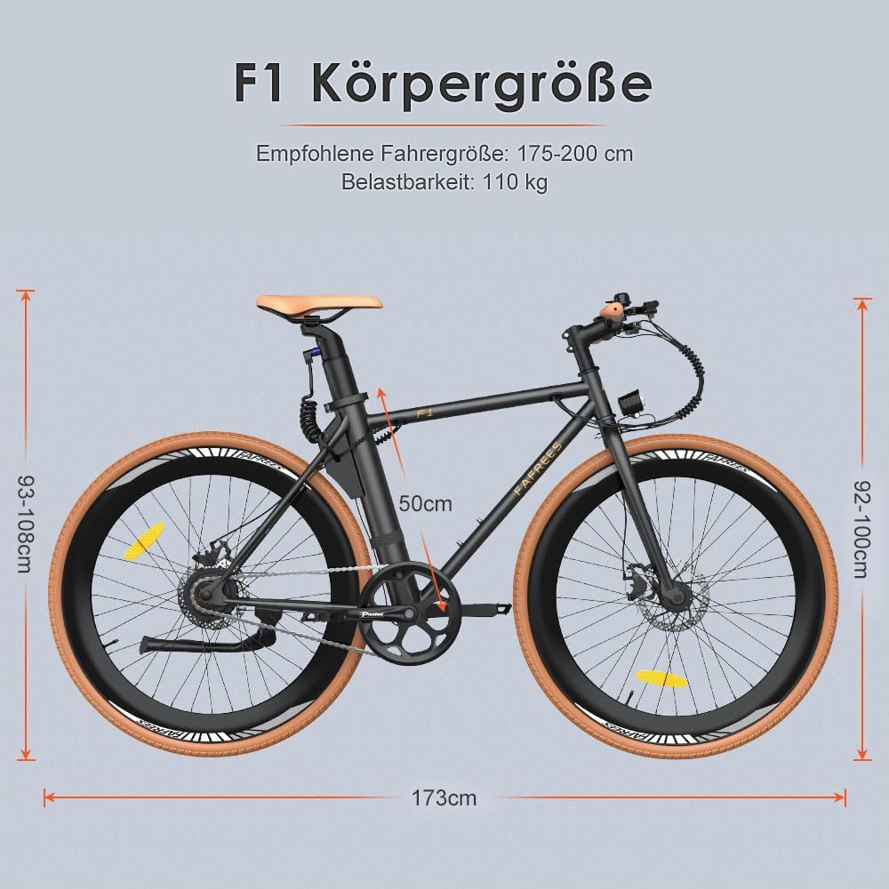 F1 Electric Bike 250W 36V 10Ah Pedelec Black 700C