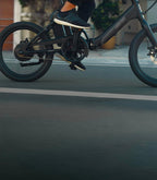 Volt Folding Electric Bike 250W Motor 36V 10Ah Removable Battery 20in