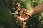 Bypass Garden Pruners Non-Stick Coated 8.1 Inch