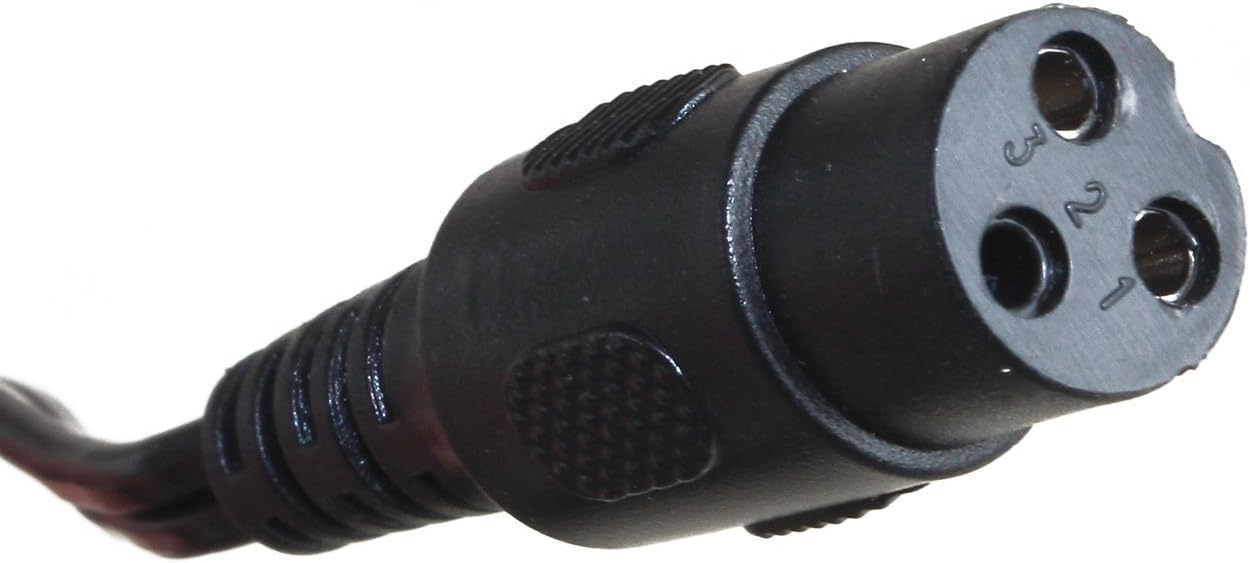 Electric Scooter Battery Charger for e100 e125 e150