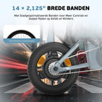 Folding Electric Fat Tire Bike 20in 250W 36V 25Ah 7-Speed