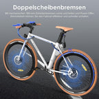 F1 Electric Bike 250W 36V 10Ah Pedelec Black 700C