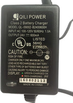 Electric Scooter Battery Charger for e100 e125 e150