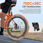 F1 Electric Bike 250W 36V 10Ah Pedelec Black 700C