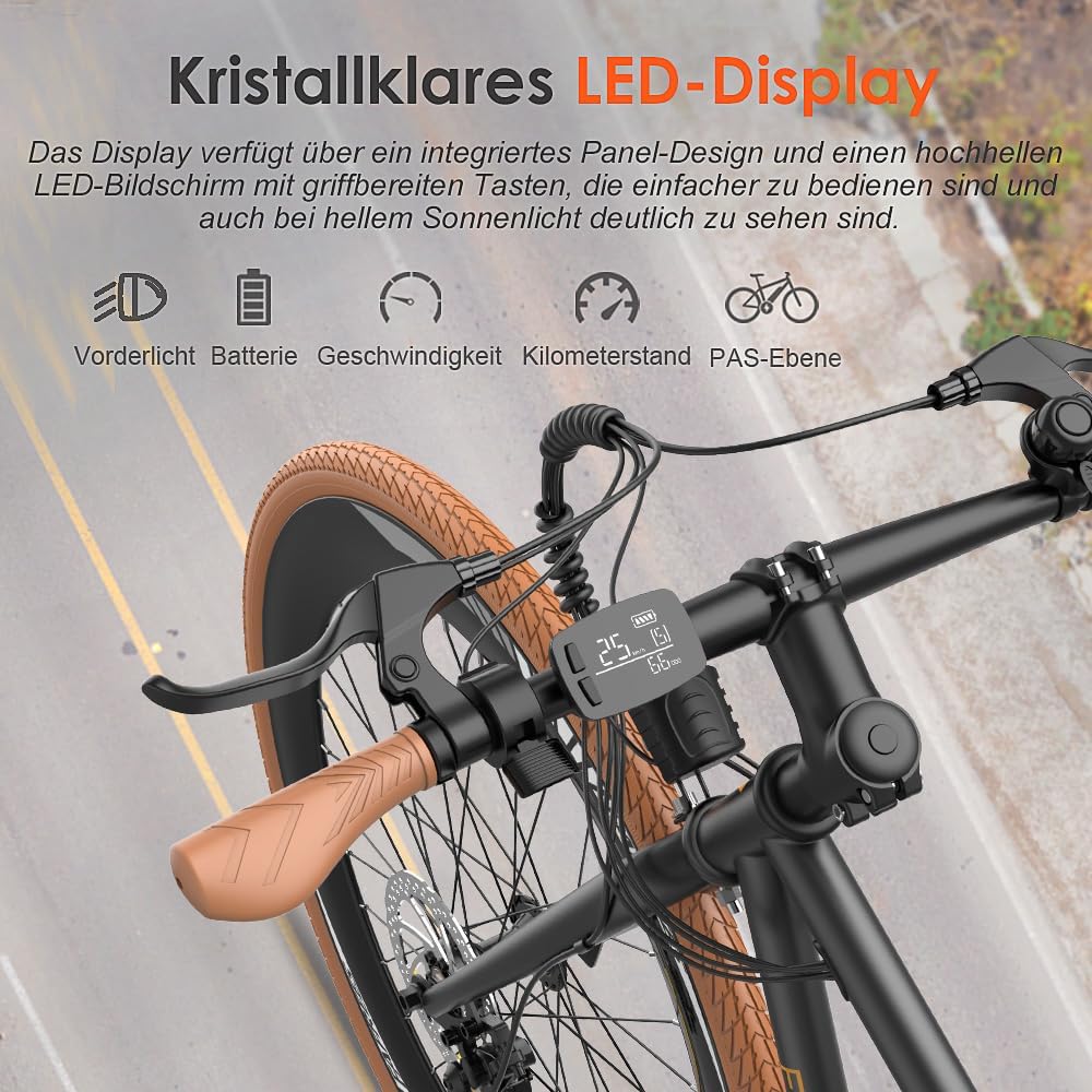 F1 Electric Bike 250W 36V 10Ah Pedelec Black 700C