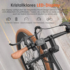 F1 Electric Bike 250W 36V 10Ah Pedelec Black 700C