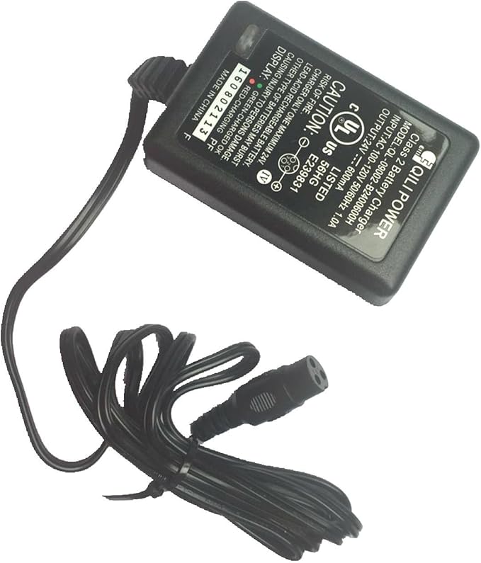 Electric Scooter Battery Charger for e100 e125 e150