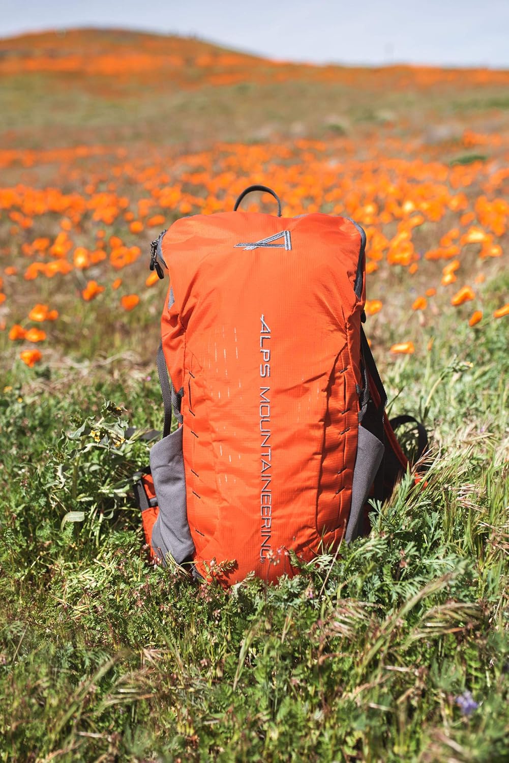 Canyon 20L Hiking Daypack with Rain Cover Chili/Gray