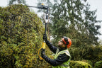 DCMPH566N XR Pole Hedge Trimmer 18V Bare Unit